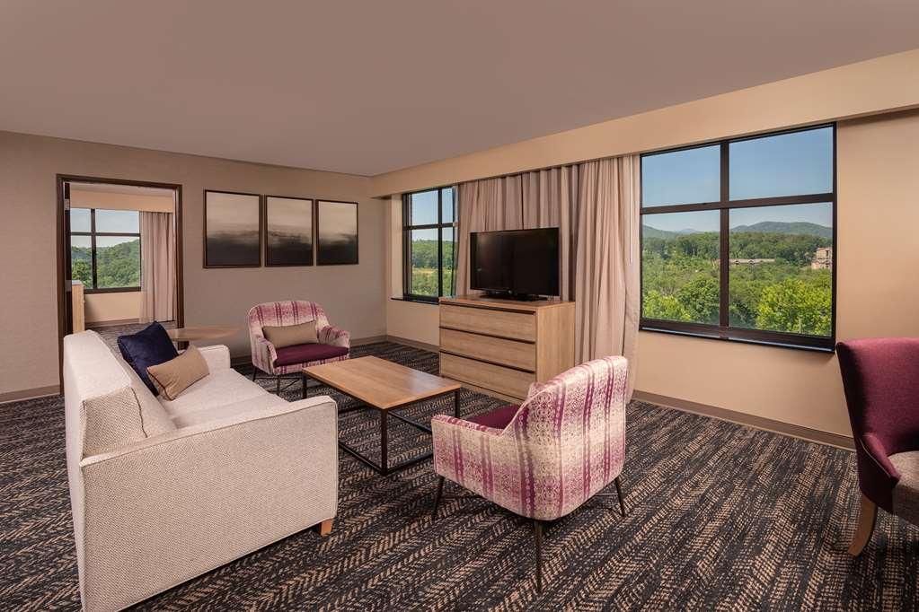 Hilton Asheville Biltmore Park Room photo